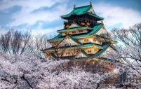 Tour Du Lịch Nhật Bản: Tokyo - Núi Phú Sĩ - Nagoya - Kyoto - Osaka (6N5Đ - Bay All Nippon Airway)